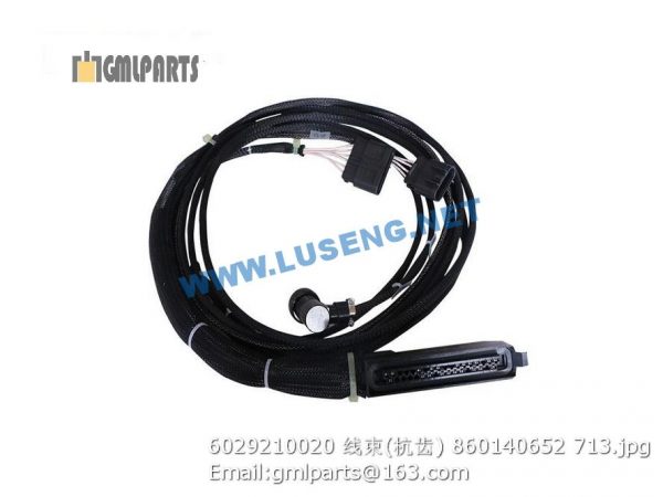 ,6029210020 HARNESS 860140652