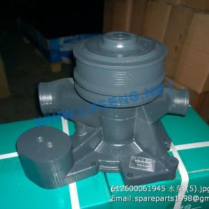 ,612600061945 WEICHAI WATER PUMP