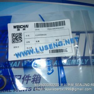 ,612600080200 SEALING RING 4110001952002 4110000556130