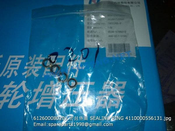 ,612600080201 SEALING RING 4110000556131