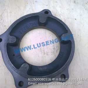 ,612600080516 1001134746 injection pump flange