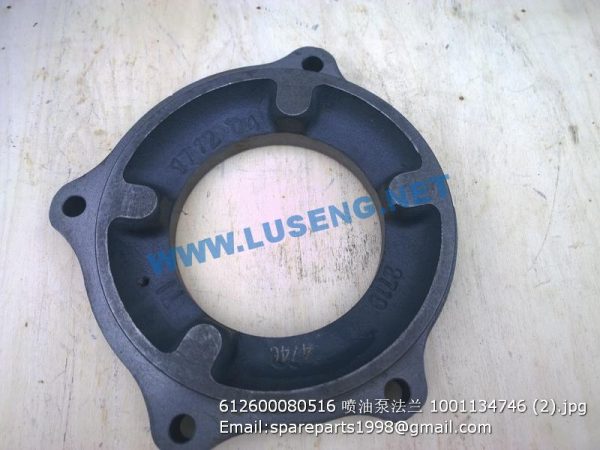 ,612600080516 1001134746 injection pump flange