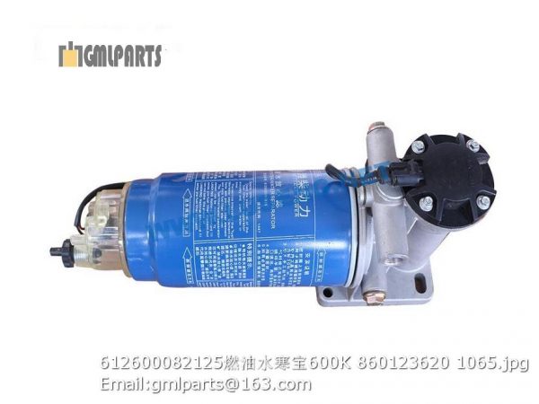 ,612600082125 Electrical Fuel Supply Pump Assembly LW600K 860123620