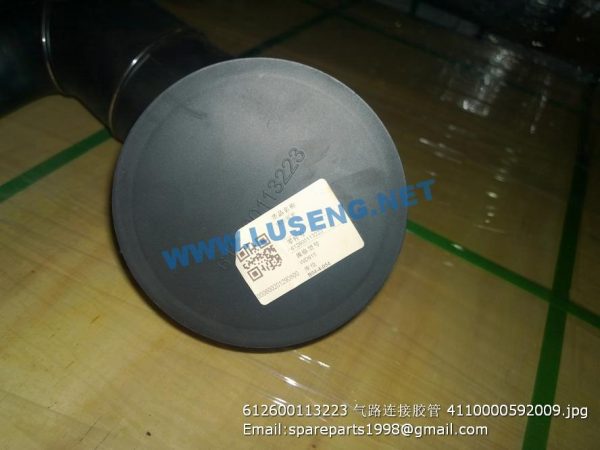 612600113223 4110000592009 Hose - Image 3