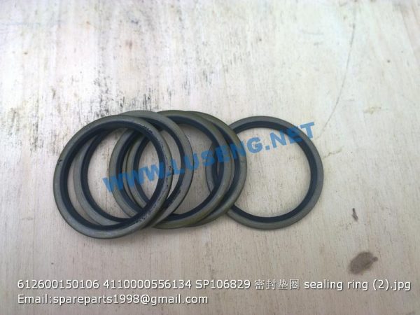 ,612600150106 4110000556134 SP106829 sealing ring