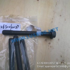 ,612630010057 weichai bolt