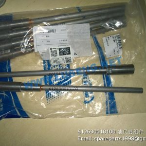 ,612630010100 Dipstick tube assembly