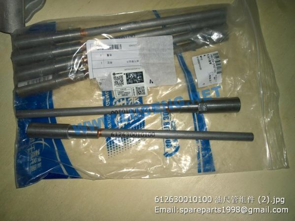 ,612630010100 Dipstick tube assembly