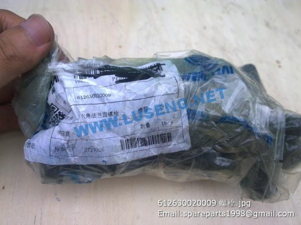,612630020009 BOLT