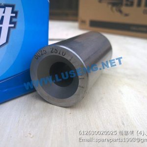 ,612630020025 WEICHAI PISTON PIN