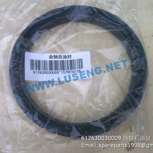 ,612630030009 rear oil seal