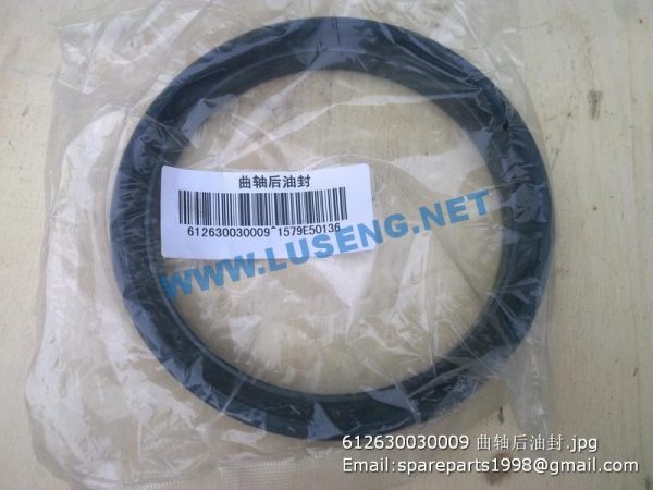 ,612630030009 rear oil seal