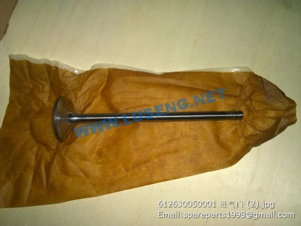 ,612630050001 VALVE INTAKE