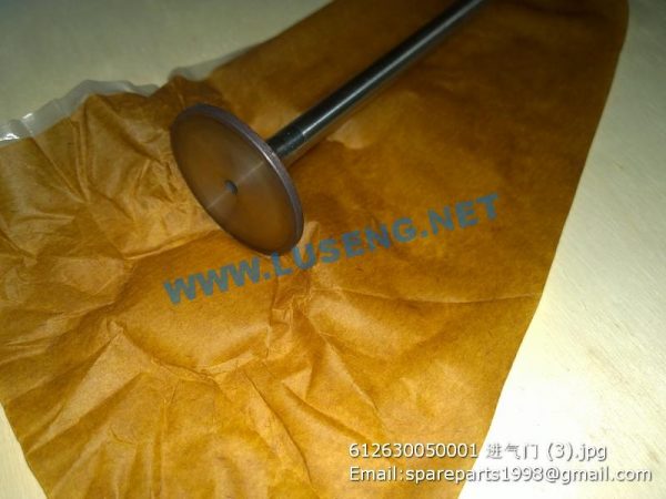 612630050001 VALVE INTAKE - Image 2