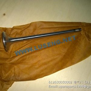 ,612630050002 VALVE EXHAUST