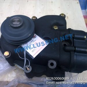 ,612630060689 water pump