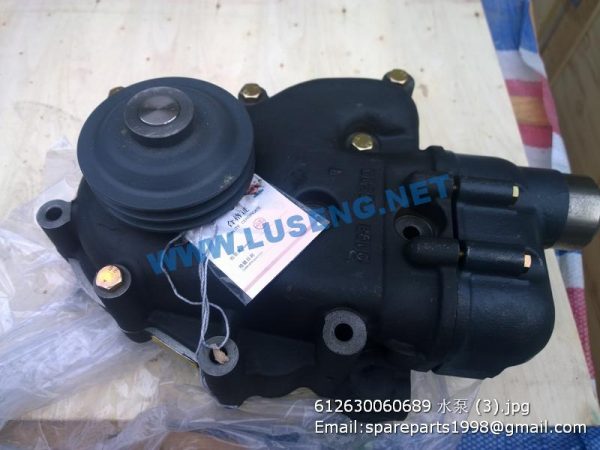 ,612630060689 water pump