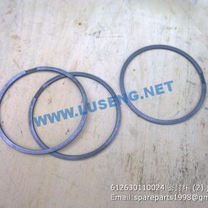 ,612630110024 SEAL WASHER