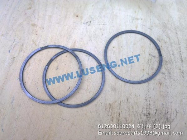 ,612630110024 SEAL WASHER