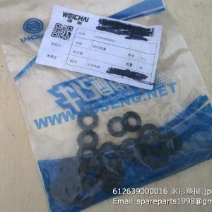 ,612639000016 seal washer