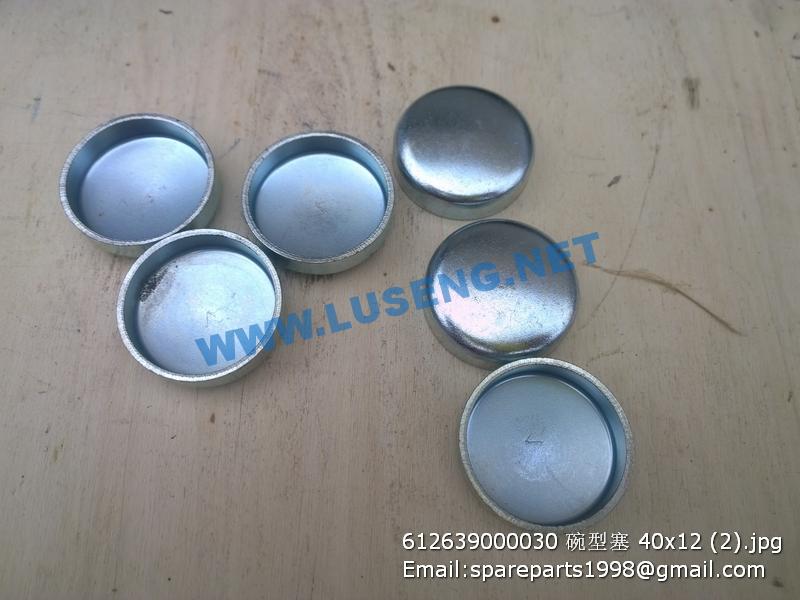 ,612639000030 40x12 PLUG