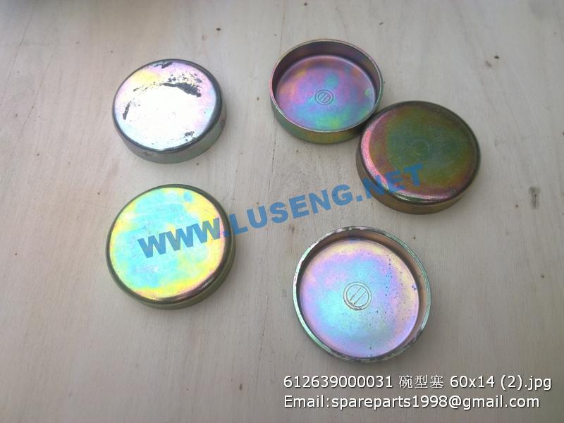 ,612639000031 60x14 PLUG