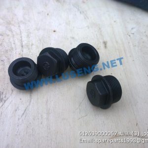 ,612639000067 PLUG