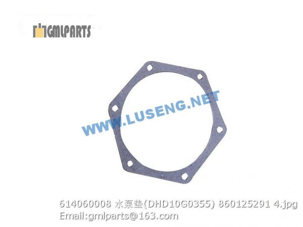 ,860125291 614060008 WATER PUMP GASKET DHD10G0355