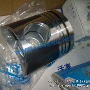 ,615600030009 weichai piston