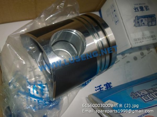 ,615600030009 weichai piston