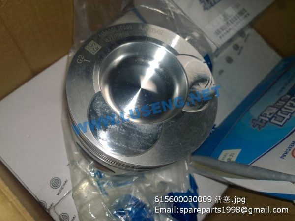 615600030009 weichai piston - Image 2