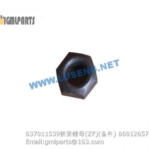 ,860126576 0637011539 LOCK NUT ZF