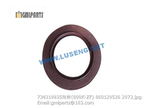 ,860129536 734319835 OIL SEAL LW800K