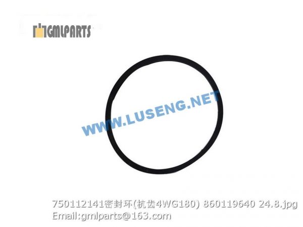 ,860119640 0750112141 SEAL RING 4WG180