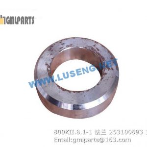 ,253100693 800KII.8.1-1 FLANGE