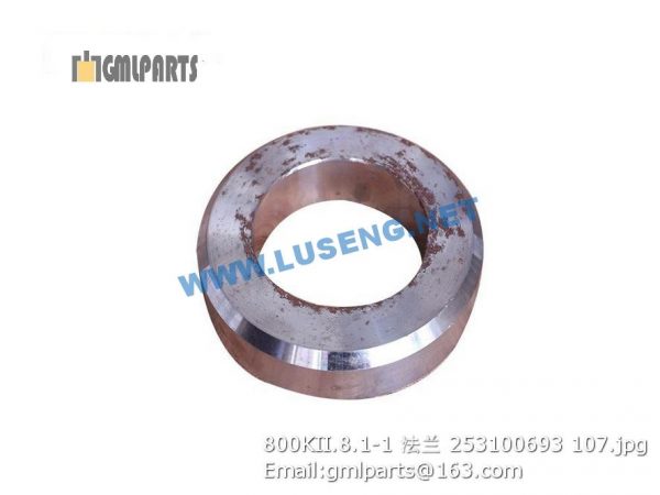 ,253100693 800KII.8.1-1 FLANGE