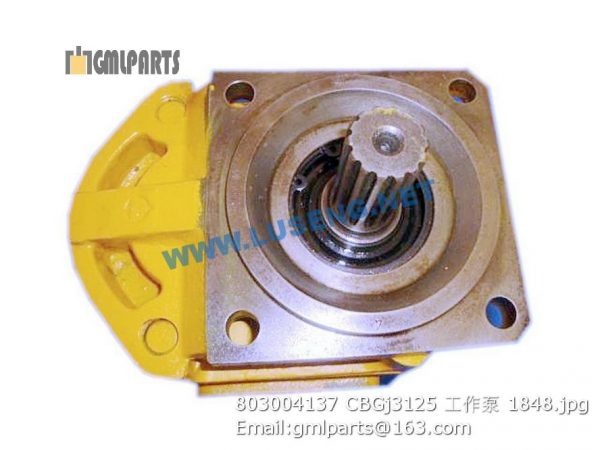 ,803004137 CBGj3125 working pump lw300f lw300fn