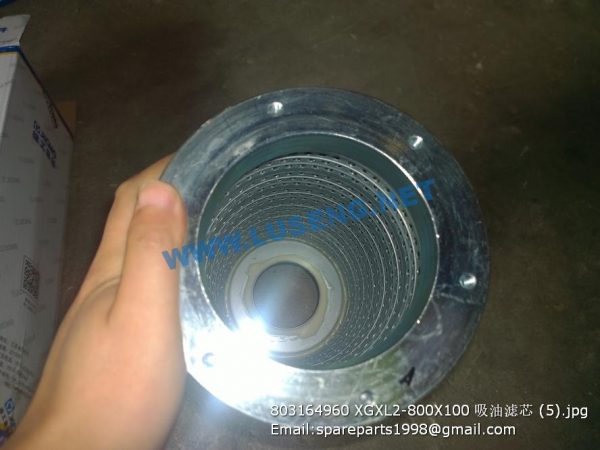 803164960 XGXL2-800X100 Oil filter XCMG - Image 4