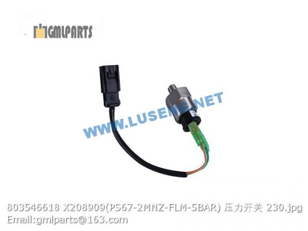 ,803546618 X208909 PS67-2MNZ-FLM-5BAR SWITCH