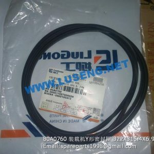 ,80A0760 Y-SEAL 322X315.4X6.9 CLG862