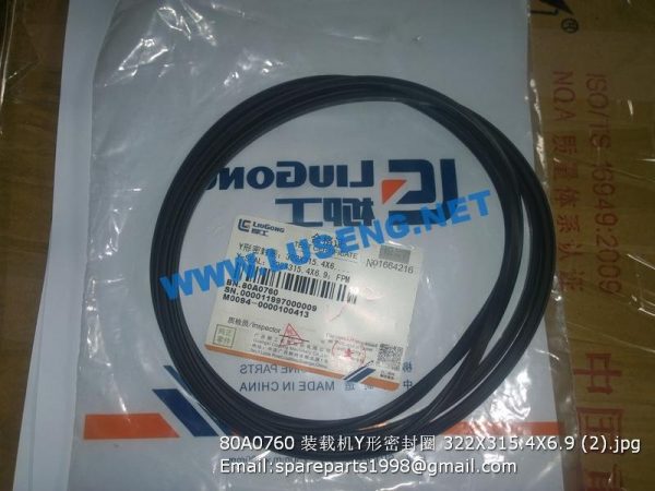 ,80A0760 Y-SEAL 322X315.4X6.9 CLG862