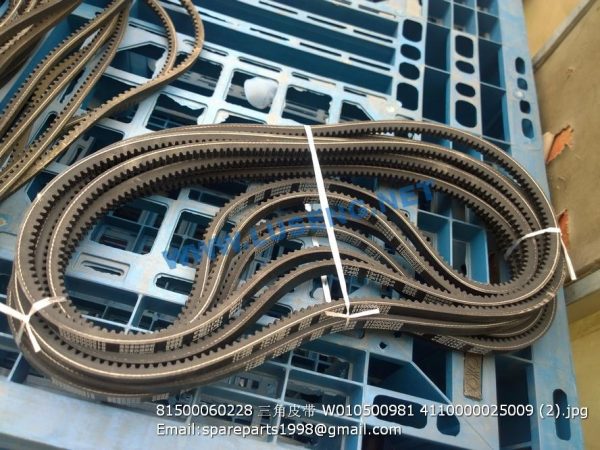 81500060228 W010500981 4110000025009 V-belt - Image 2