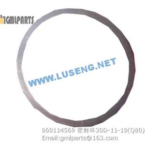 ,860114569 ZL30D-11-19 seal ring