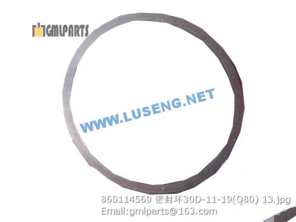 ,860114569 ZL30D-11-19 seal ring