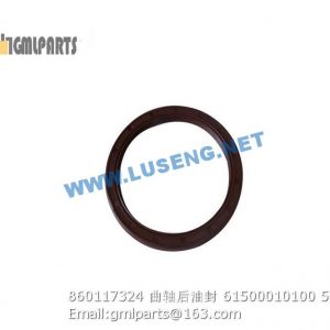 ,860117324 CRANKSHAFT OIL SEAL 61500010100