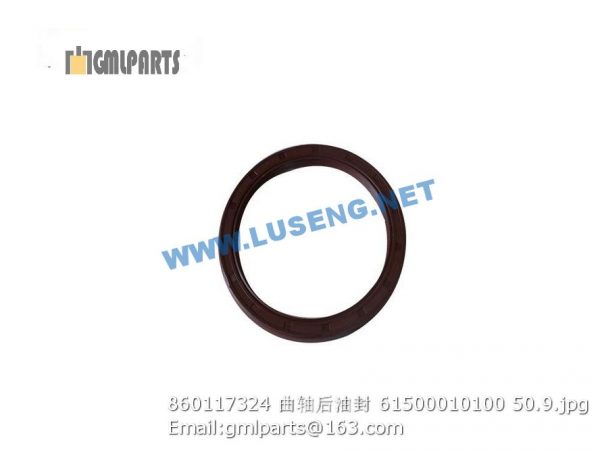 ,860117324 CRANKSHAFT OIL SEAL 61500010100