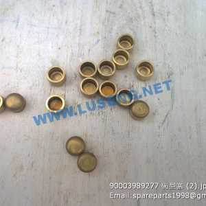 ,90003989277 Corehole plug weichai wp10