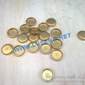 ,90003989294 Corehole plug