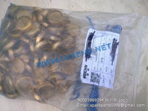 90003989294 Corehole plug - Image 2