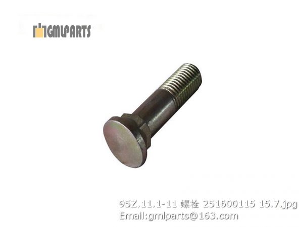 ,251600115 95Z.11.1-11 bolt